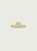 Round Gallery Hidden Halo Ring