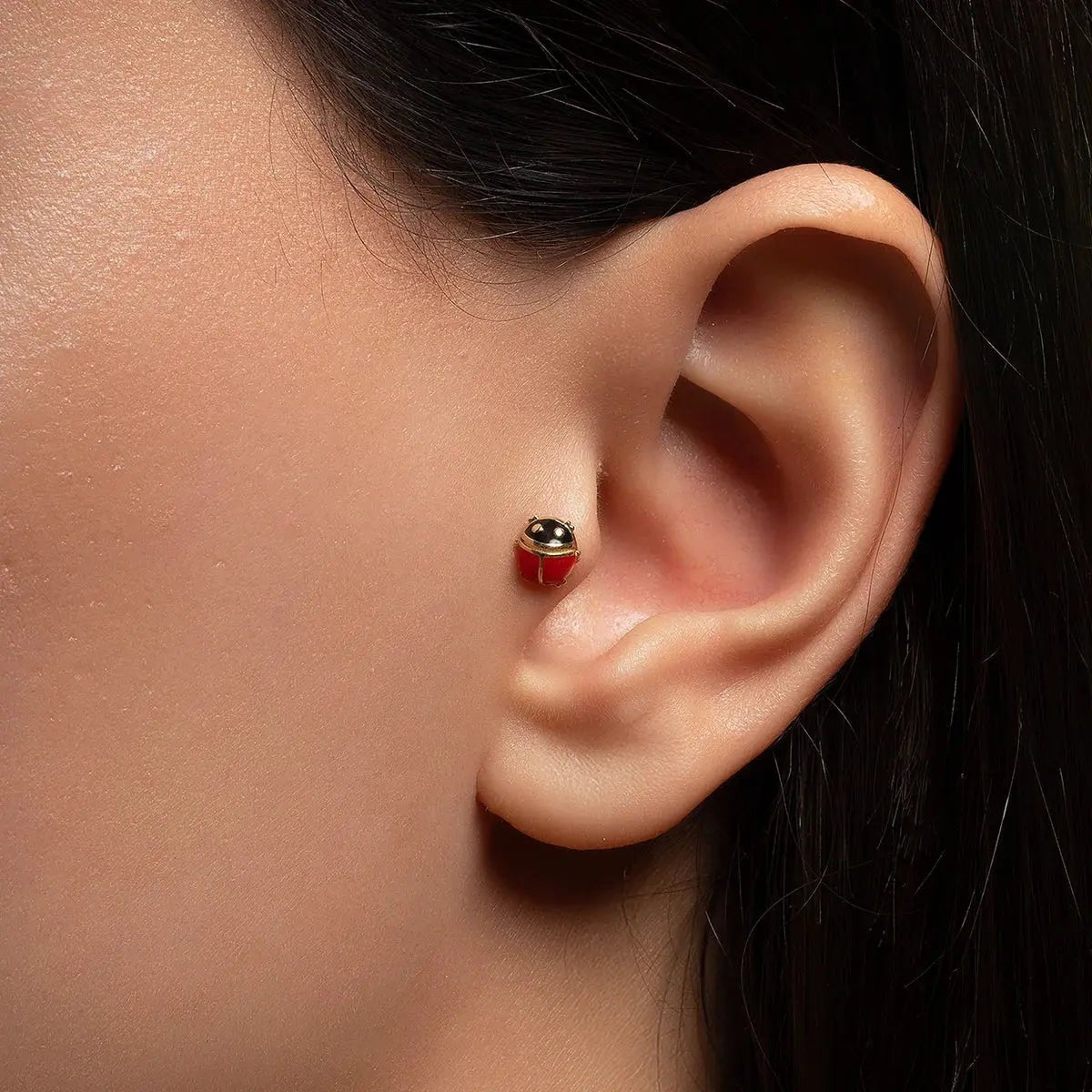 Little Ladybug Piercing Koru Jewelers